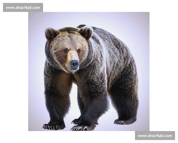 棕熊vs自然王者对决力量智慧与生存极限全解析野外真实场景生态博弈深度观察